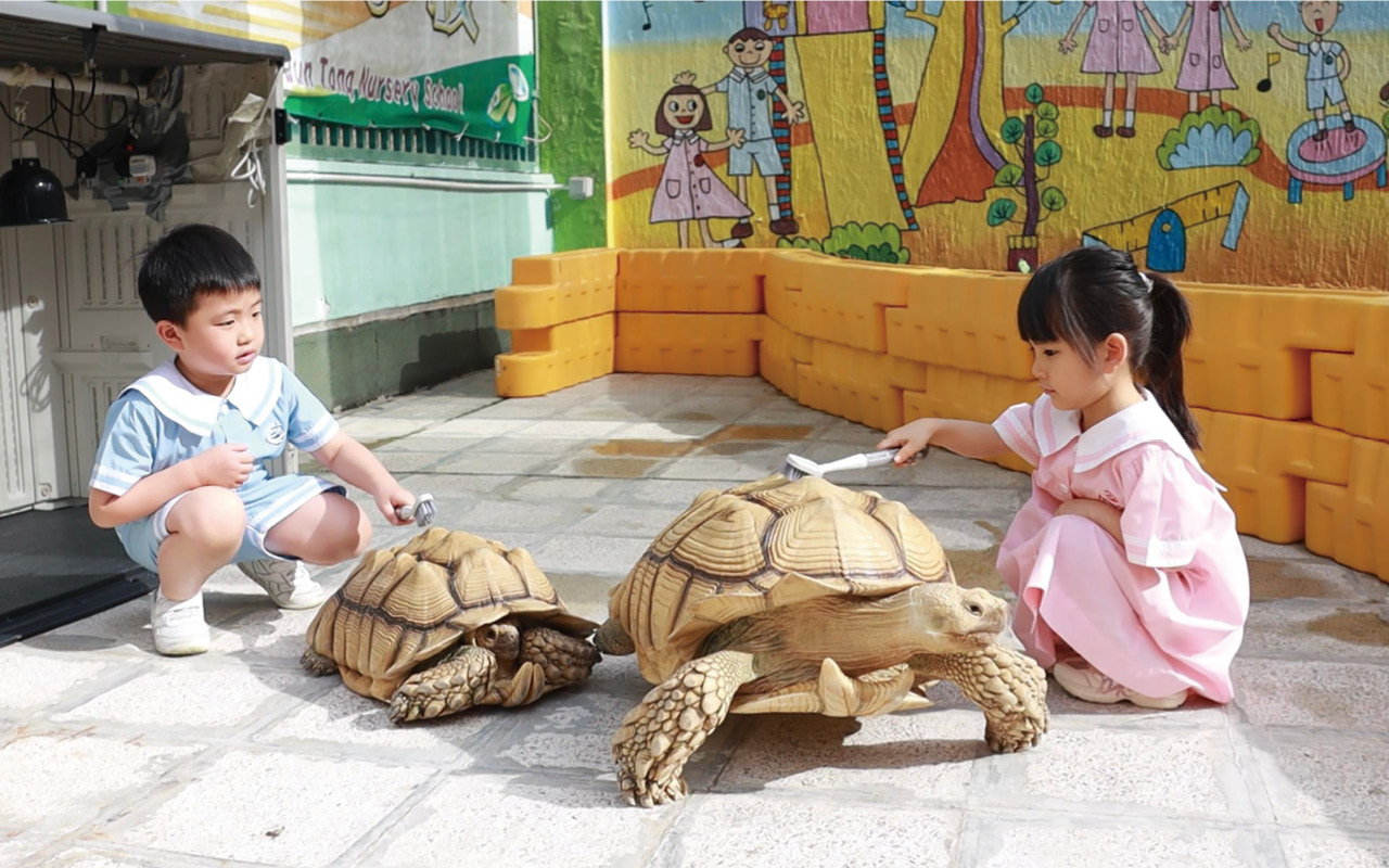 Let children do work related to the environment