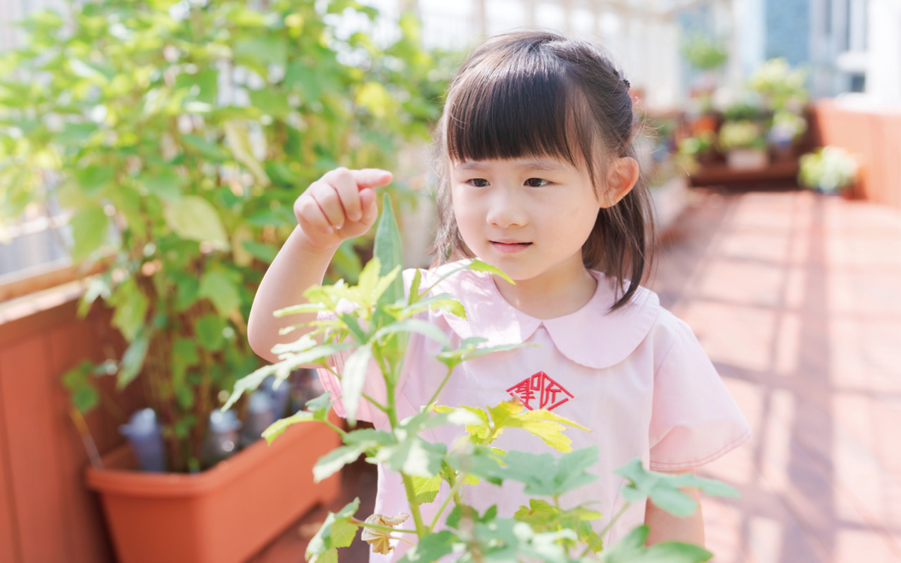 S.K.H. KINDLY LIGHT CHURCH HOLY CARPENTER KINDERGARTEN - Educate people with love and create a healthy and happy place for growth with ingenuity