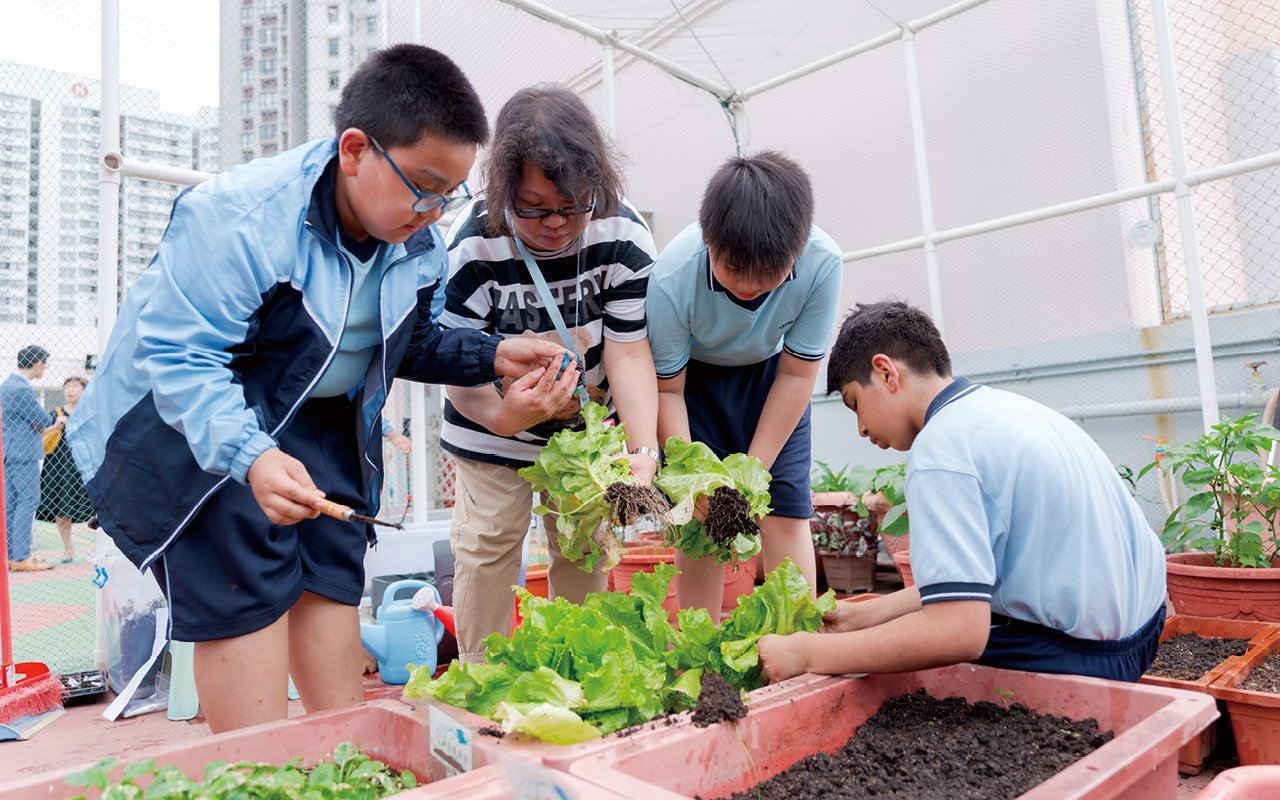 Promote interdisciplinary STEAM education and increase the proportion of "hands-on" courses