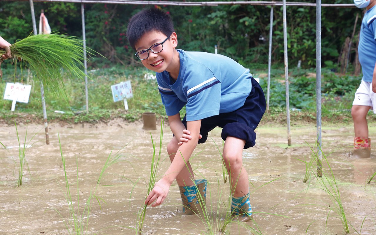 Cultivate students' respect and care for nature