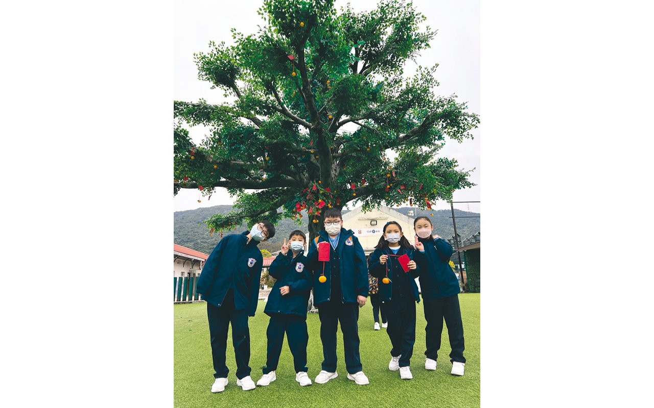 The school attaches great importance to the study of Chinese history and Chinese culture