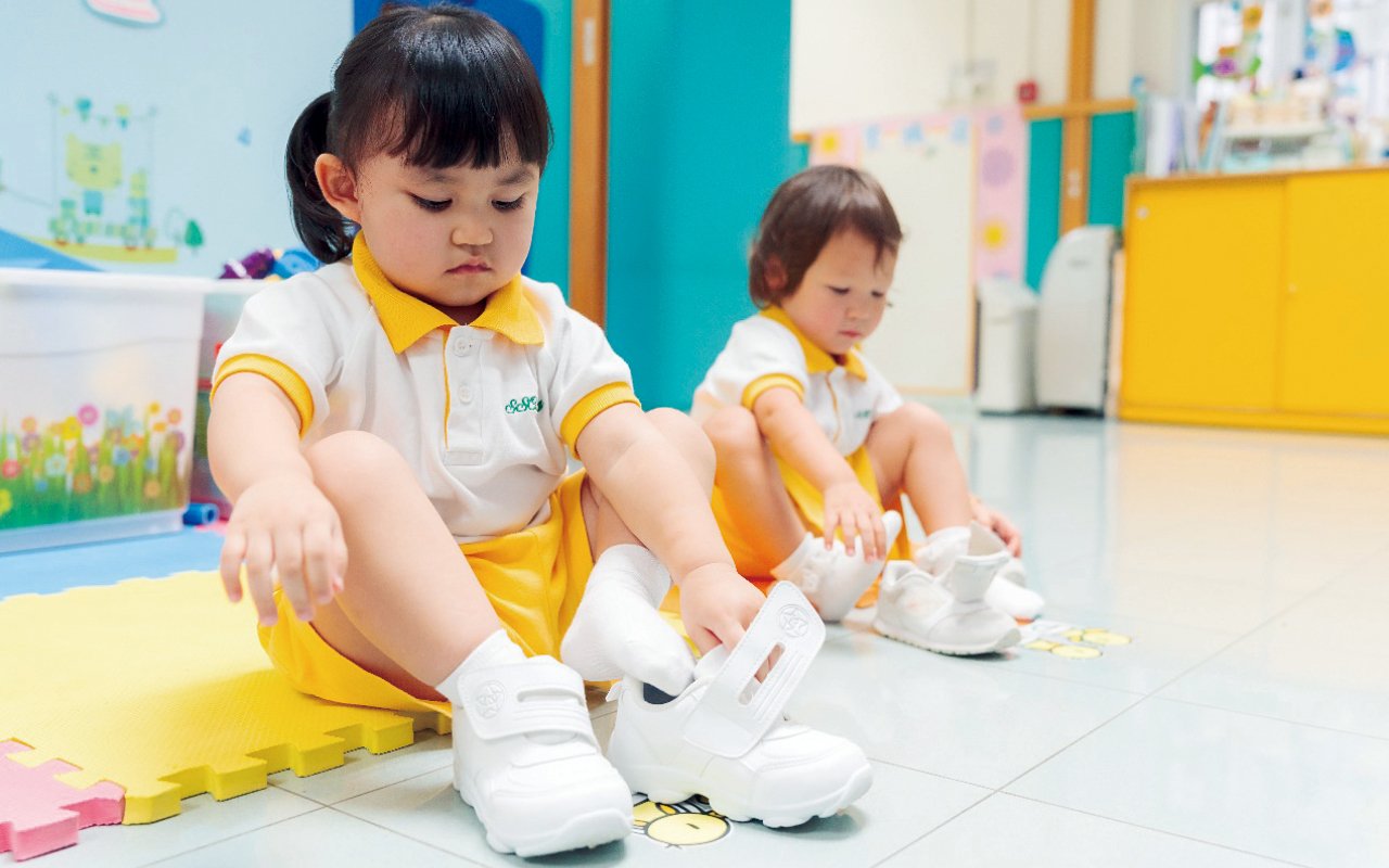 Develop a high-vision teaching model