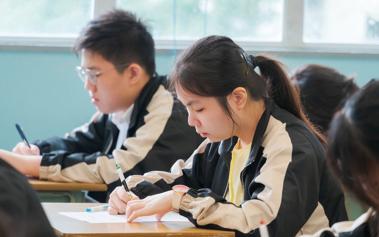 Teaching students in accordance with their aptitude