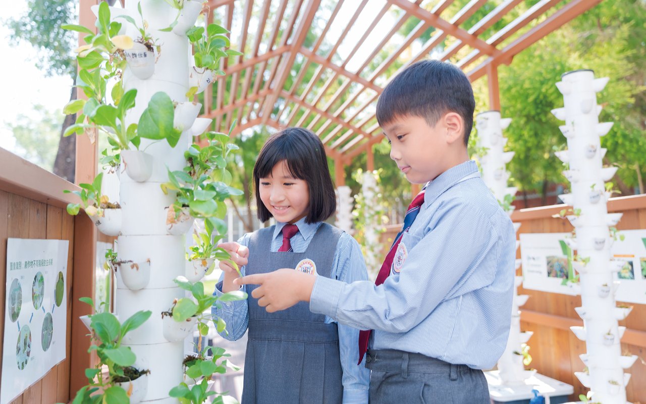 Integrate and organically combine multi-disciplinary knowledge