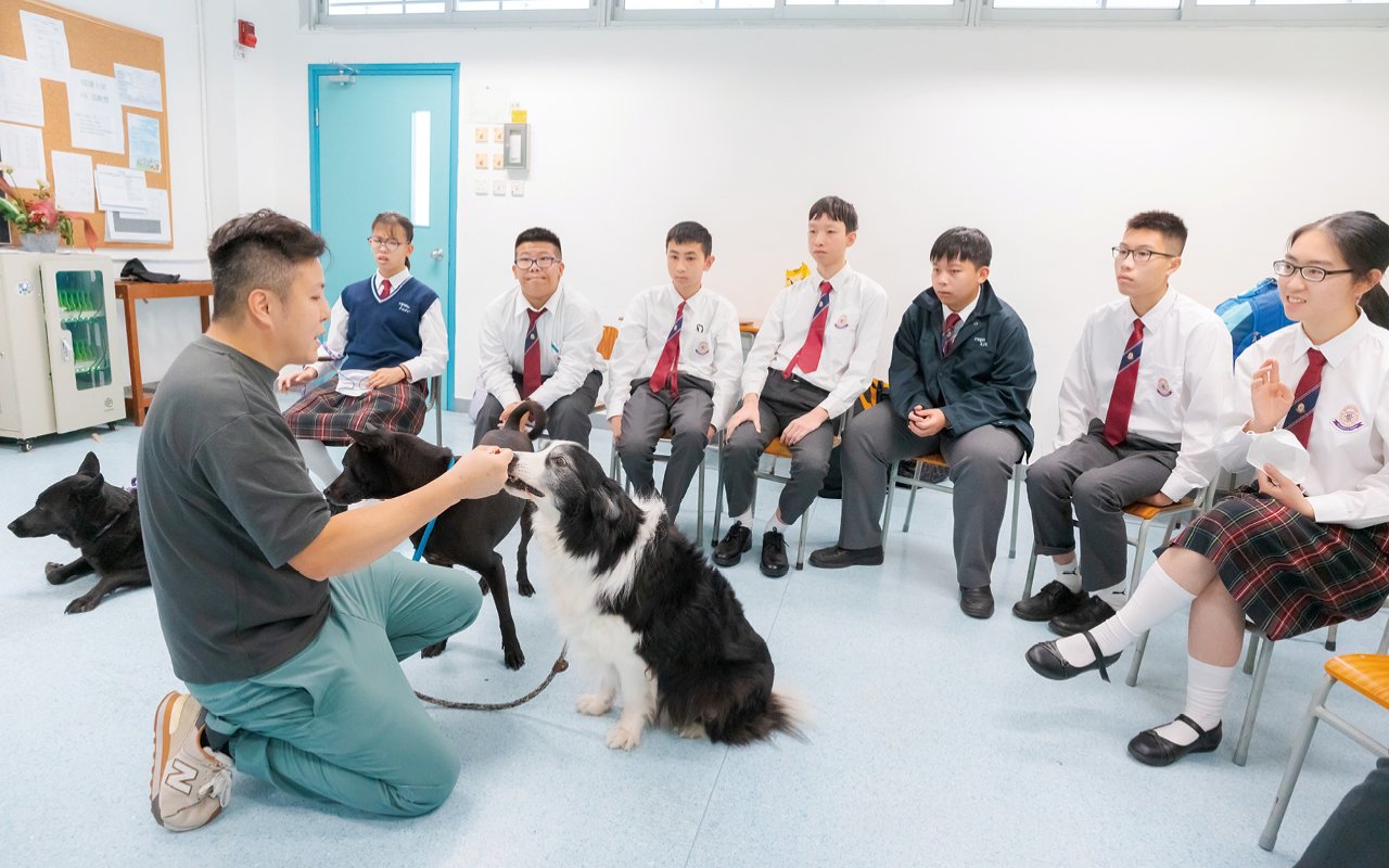 The school attaches great importance to career planning