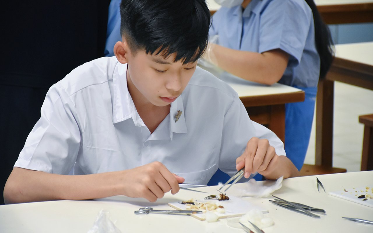 Provide students with more opportunities to try