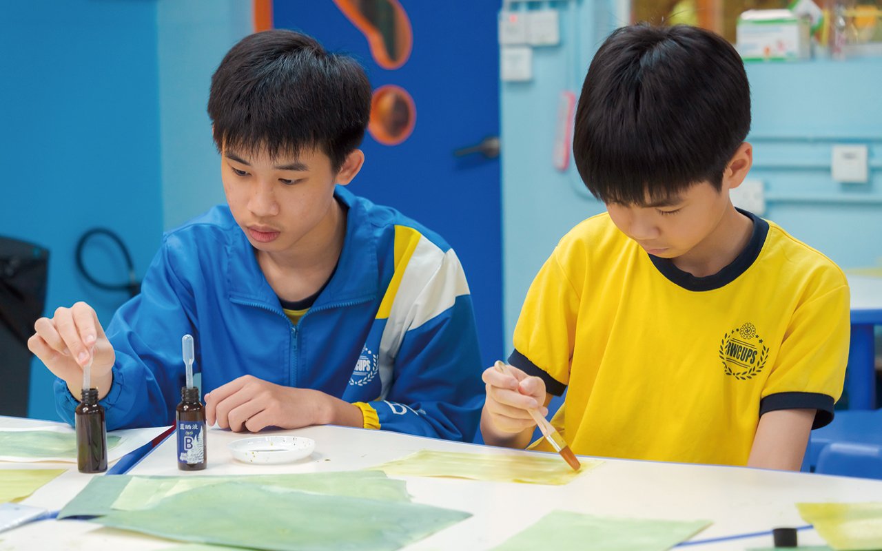 The school team designed a series of scientific inquiry activities for students, using "brine shrimp" as the protagonist.