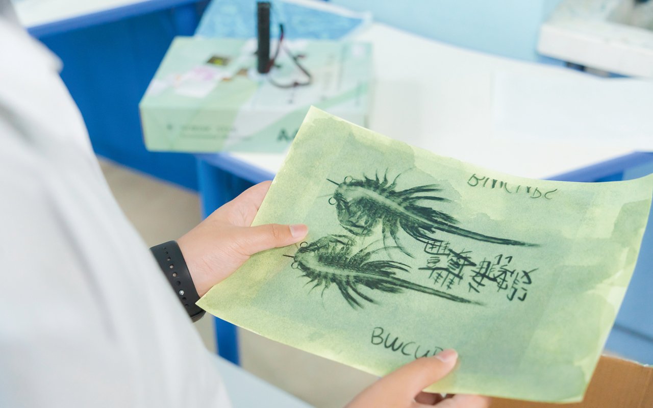 Let children understand the interconnected natural ecology through observation