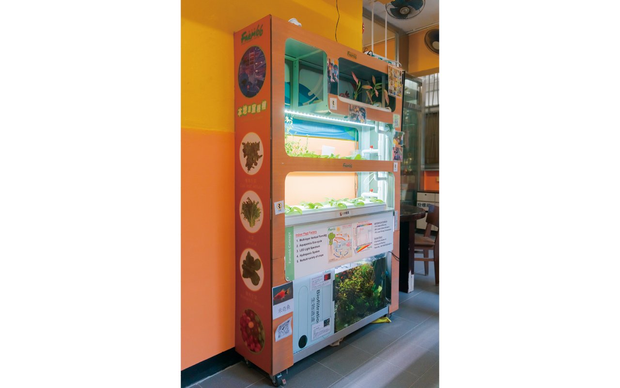 The school has added an "aquaponics" system