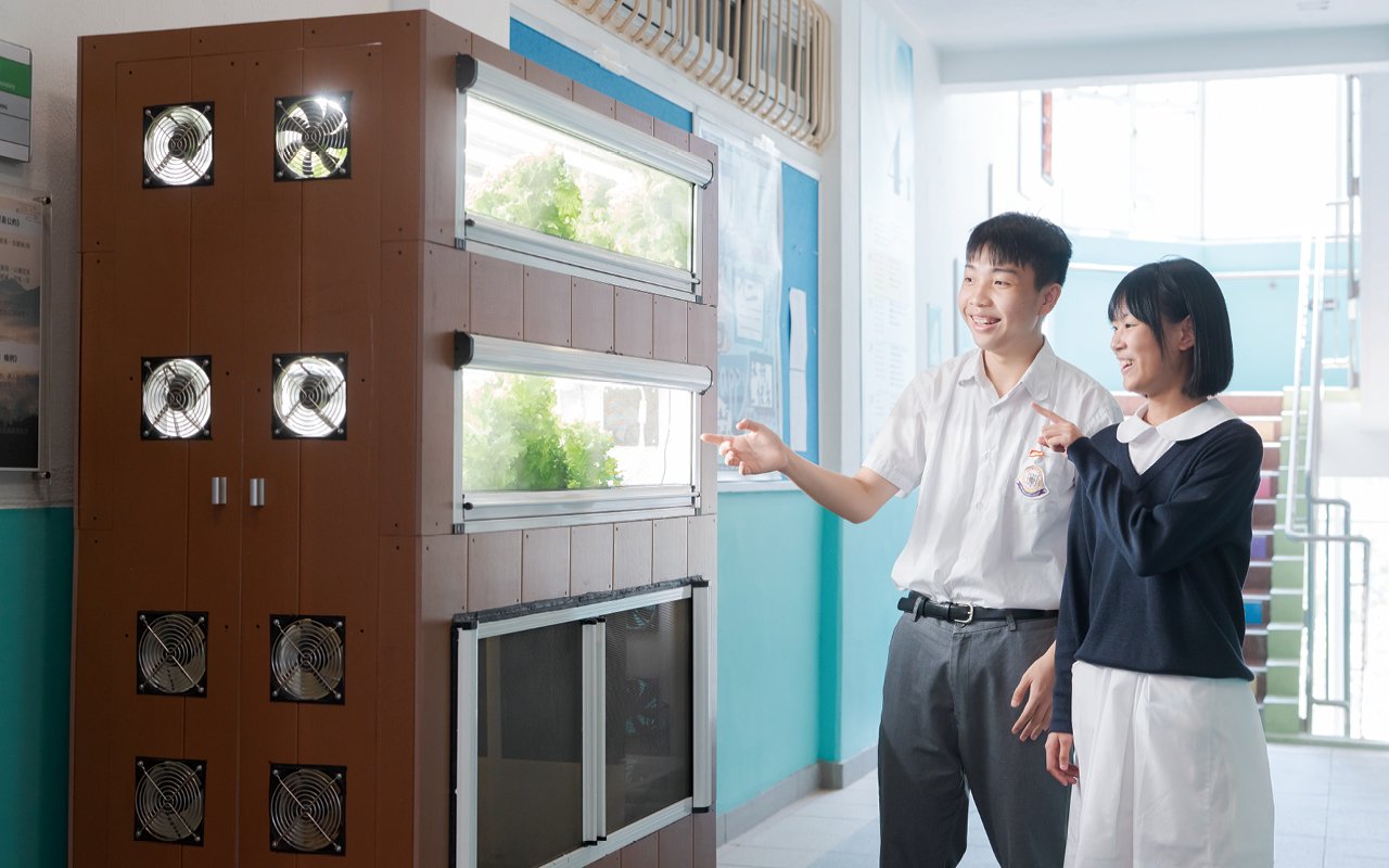 The school has installed an intelligent hydroponic system to allow students to personally participate in the practice of sustainable development