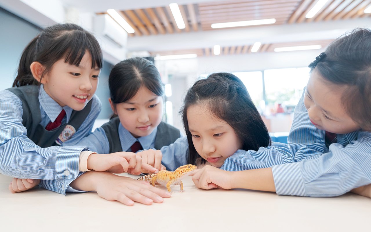 Students become accustomed to speaking English and develop communication and expression skills in English