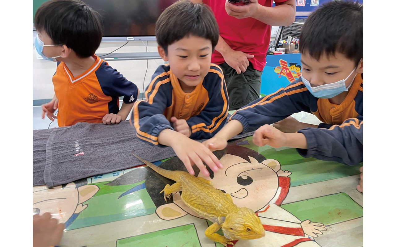 Opportunity to interact with rare reptiles