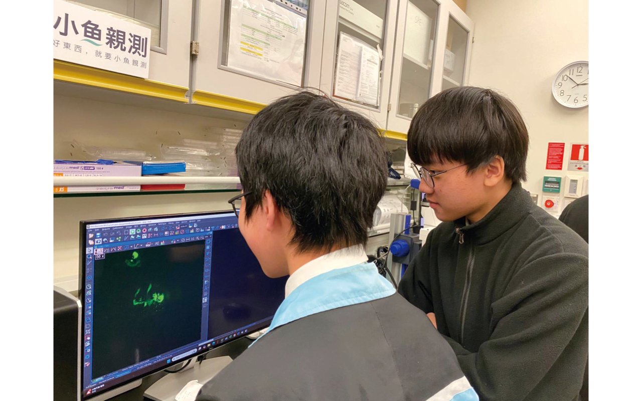 In-depth visit to the laboratory