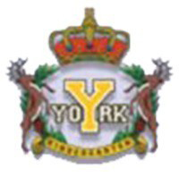 約克中英文幼稚園 logo