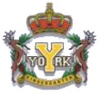 YORK ENGLISH PRE-SCHOOL logo
