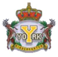 約克國際幼稚園 logo