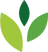 WILDERNESS INTERNATIONAL KINDERGARTEN logo