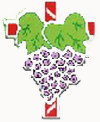 中華基督教會沙田堂博康幼稚園 logo