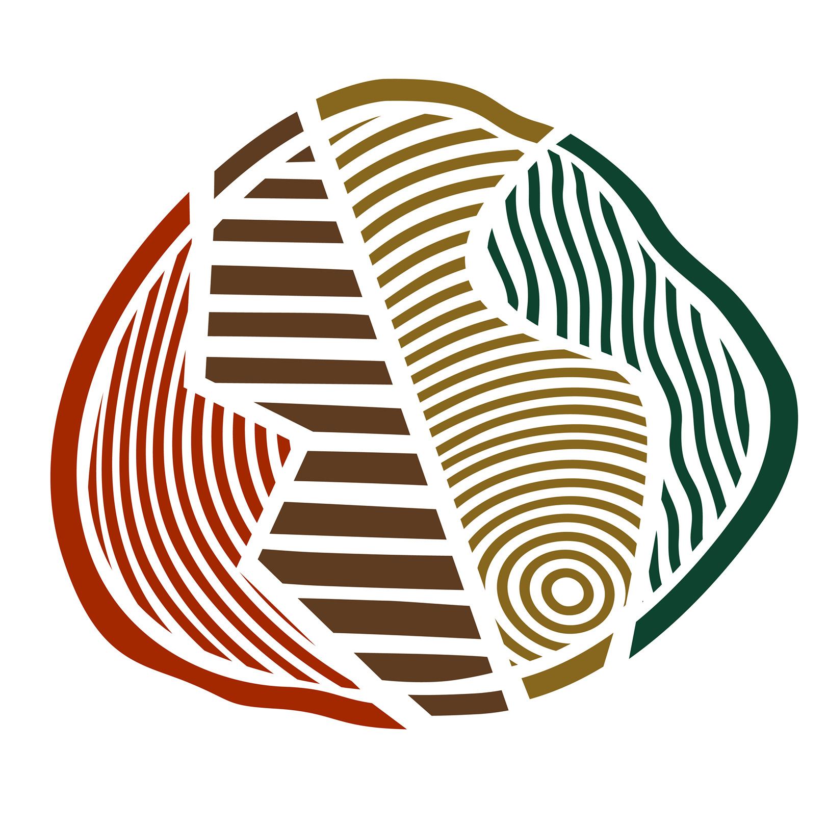 艾蒙特國際幼稚園 logo