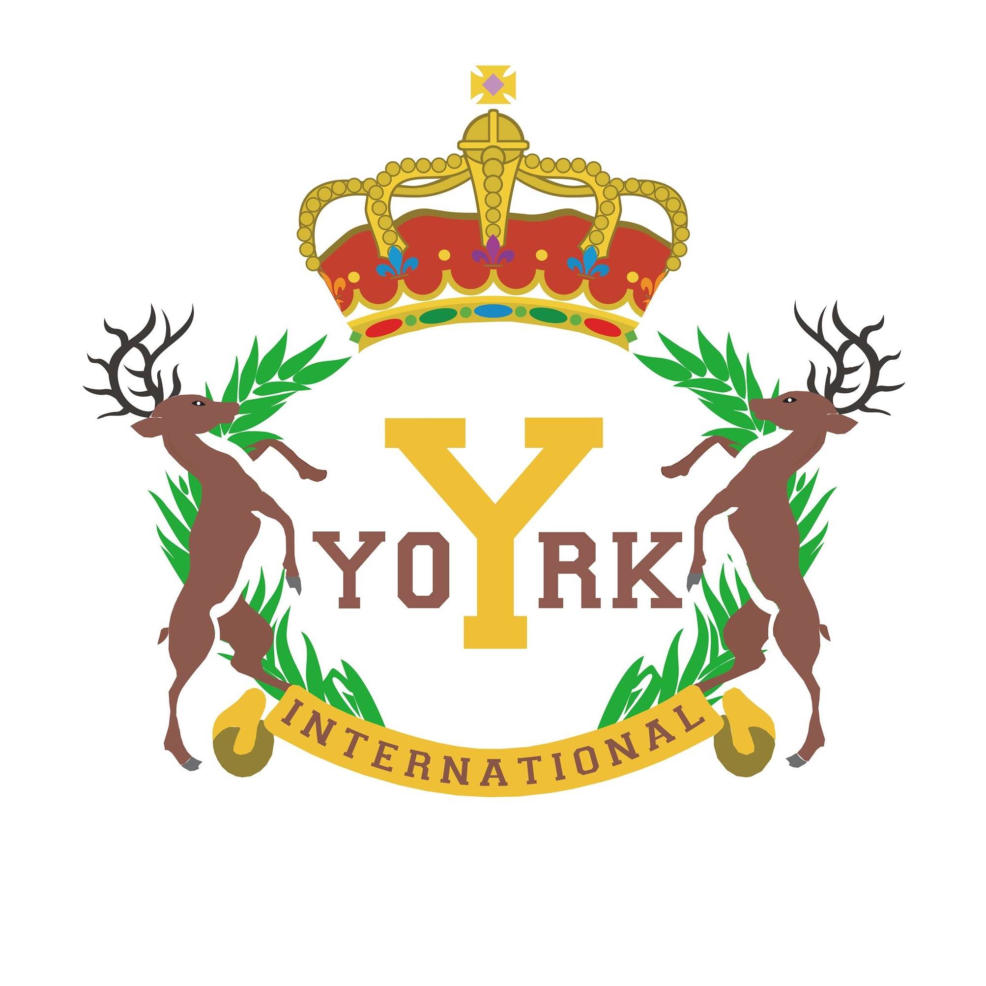 YORK INTERNATIONAL PRE-SCHOOL (WETLAND) logo